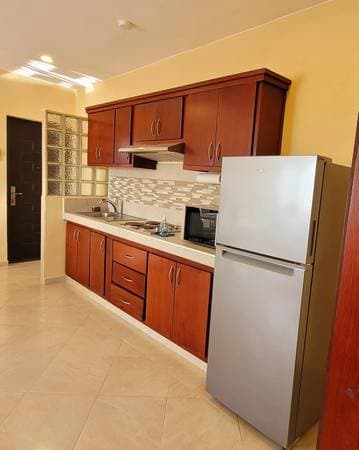 Rent 3 Apartments 1 or 2 Bedrooms in Animas Bajas - Image 3
