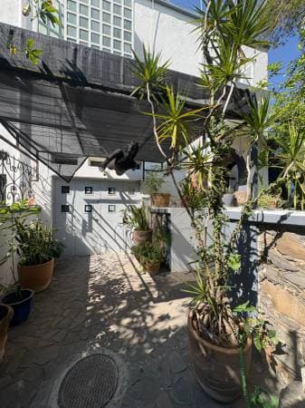 Boutique Apart-Hotel in Colonia Americana – Fully Furnished Apartment - Image 3