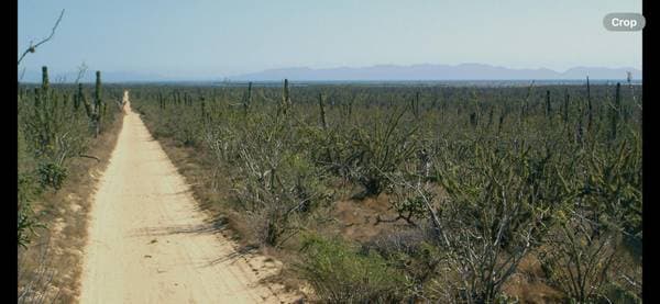 Tiny Houses On Private Lot - Image 2