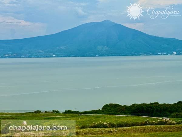 Makbite, Lote 6 - Image 4