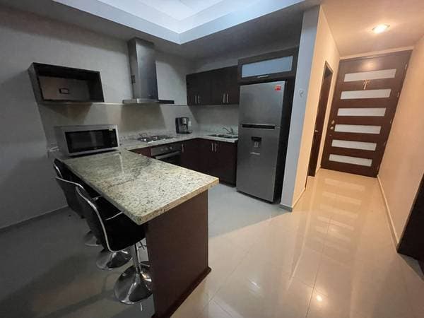 Furnished 2 Bedroom Apartment For Rent, Marina Platino, Pool, Gym. - Image 3