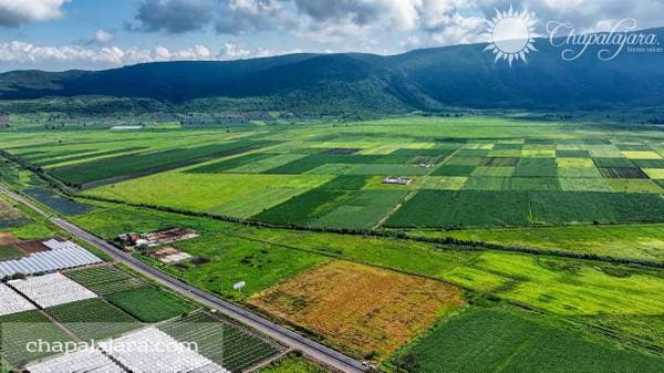Terreno El Molino 1 - Image 4