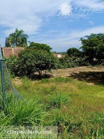 Vistas Lomas de El Chante - Image 3