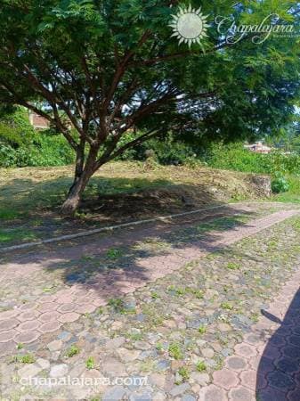 Vistas Lomas de El Chante - Image 5