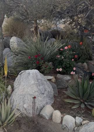 Property for sale (developed) - Image 5