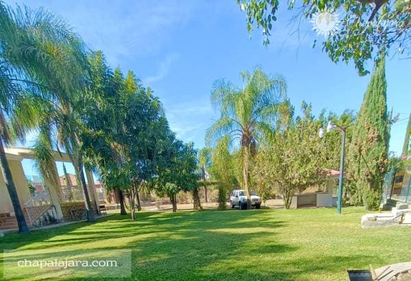 Cedros Casa - Image 2