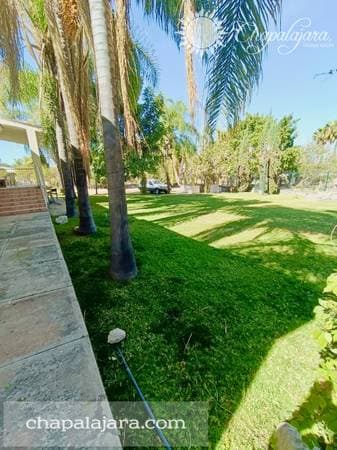 Cedros Casa - Image 3