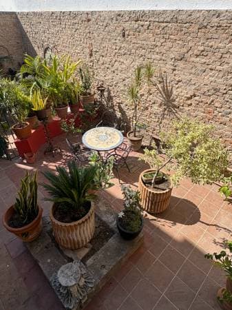 Boutique-Style Loft in the Best Area of Colonia Americana