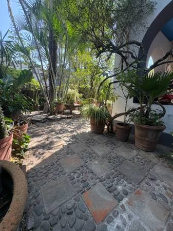 Boutique-Style Loft in the Best Area of Colonia Americana - Image 4