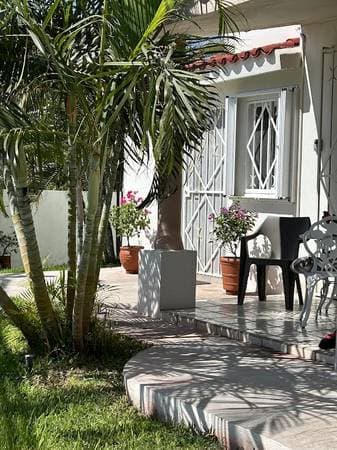 Studio for rent, yard for small dog. San Jose del Cabo,