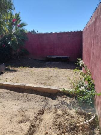 Todos Santos Casita- Weekly or Monthly rental - Image 3