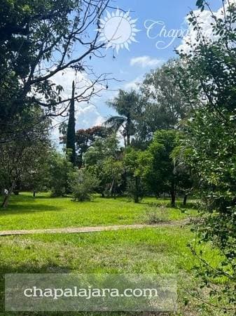 Lakefront Mansion - Image 5