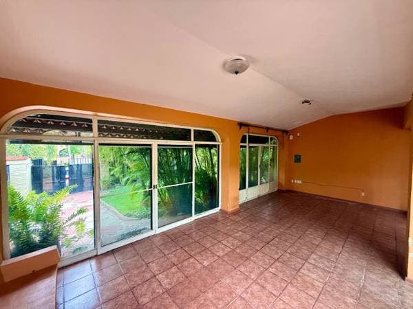 This Flower - Image 3