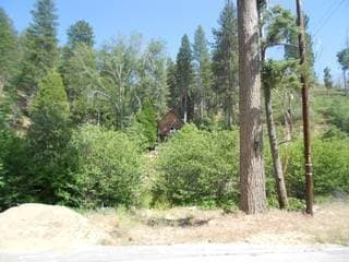 FSBO - Vacant Lot (Property near Lake Arrowhead with Seasonal Creek) - Image 3
