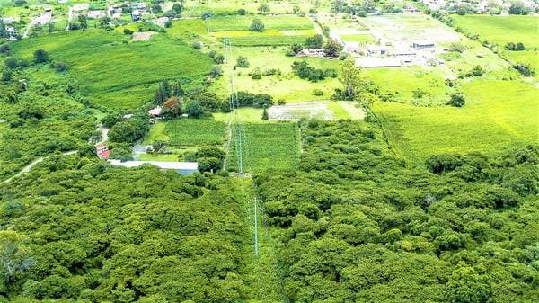 Terreno Chapala Premiere - Image 5