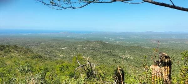 Se Venden 120 hectáreas ( Crystal Water Spring)