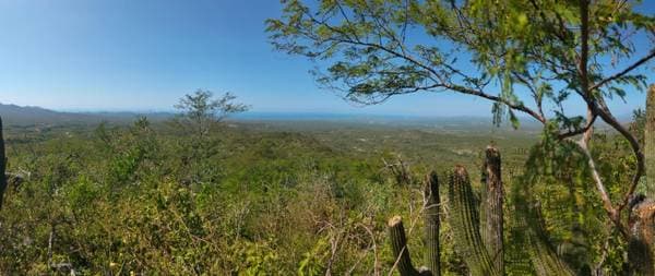 Se Venden 120 hectáreas ( Crystal Water Spring) - Image 2