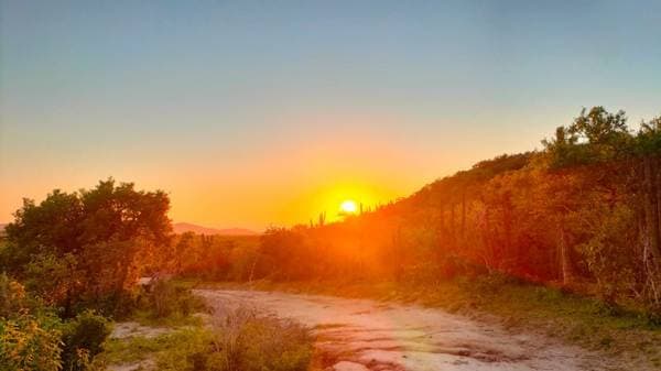 Se Venden 120 hectáreas ( Crystal Water Spring) - Image 3