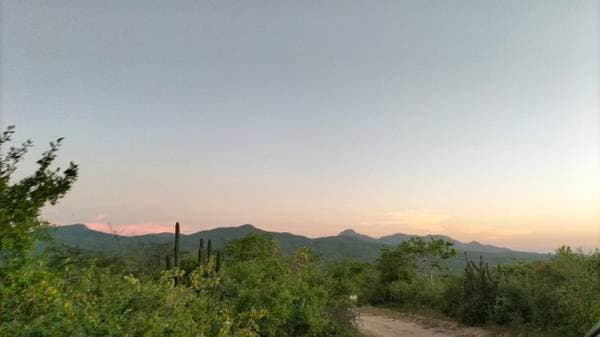 Se Venden 120 hectáreas ( Crystal Water Spring) - Image 5