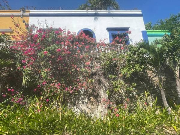 A house with soul. Relive a gem in the Historic Center. - Image 2