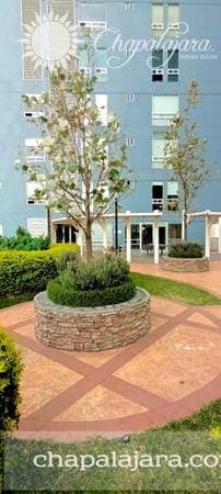 Montmartre Apartment, Chapultepec Area - Image 2