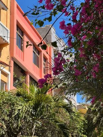 Impressive Artistic House on Angel Flores