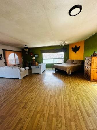 Casa Sueño concepcion Bay Mulegé BCS