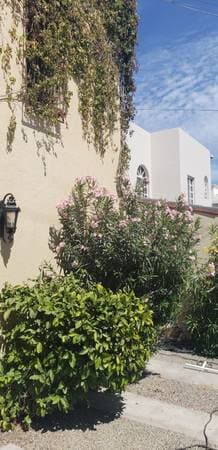 Casa Divina - Image 2