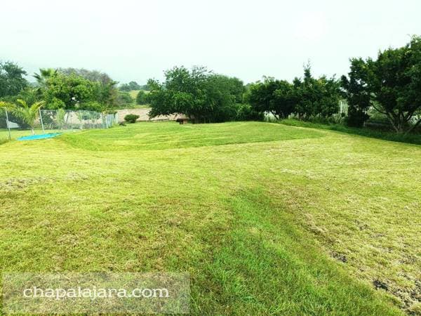 Rancho Alegre 2 - Image 2