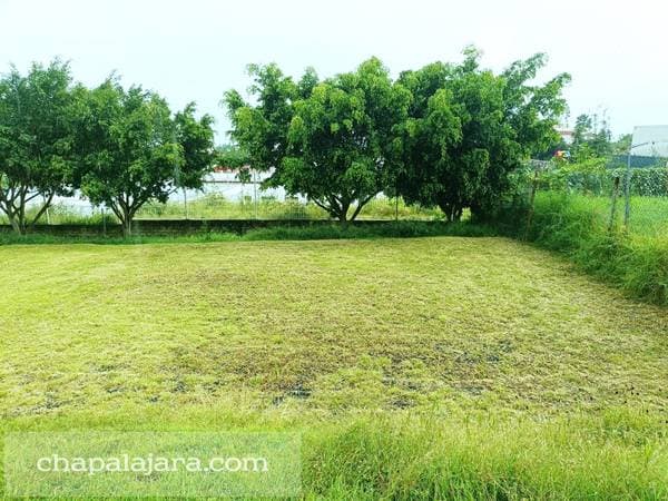 Rancho Alegre 2 - Image 3