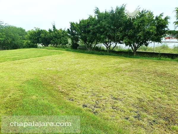 Rancho Alegre 2 - Image 4