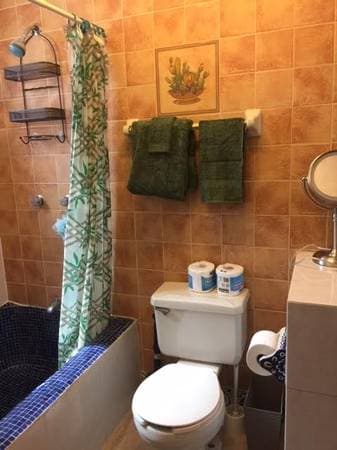 Studio for rent, yard for small dog. San Jose del Cabo - Image 5