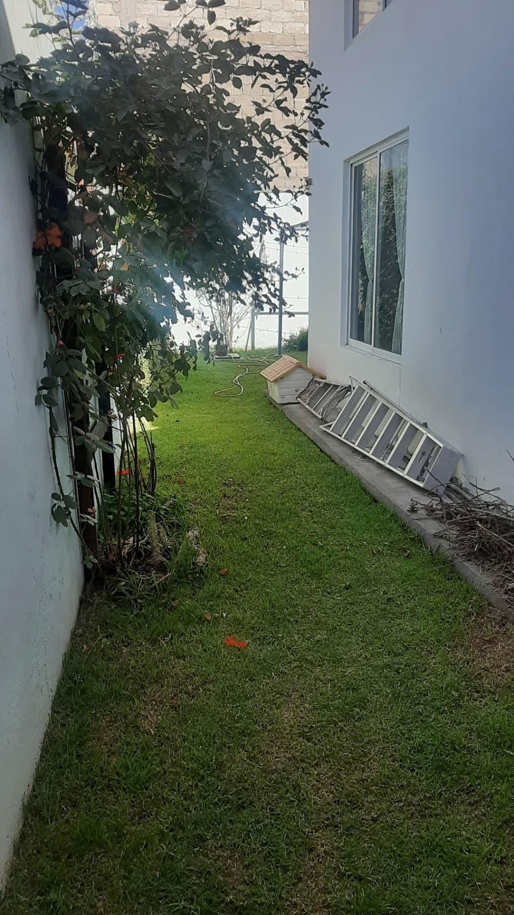 Venta de hermosa casa en San Mateo Oxtotitlán, Toluca - Image 4