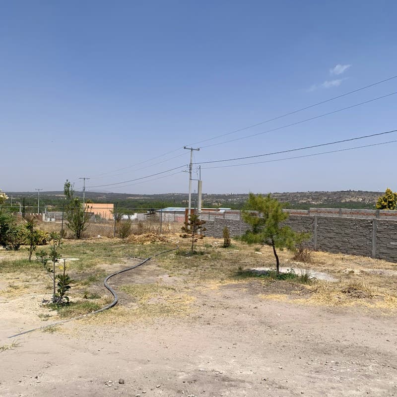 Casa Banda - Image 3