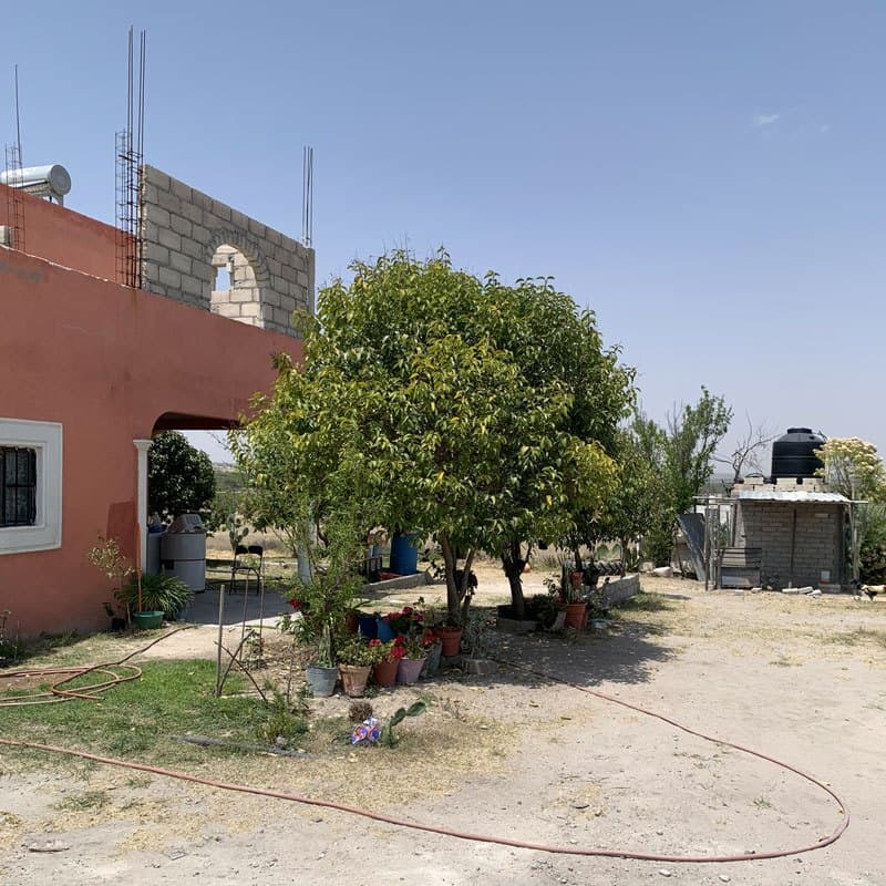 Casa Banda - Image 4