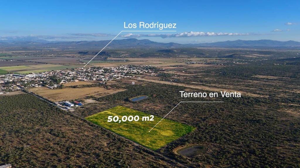 Terreno Los Rodriguez - Image 2