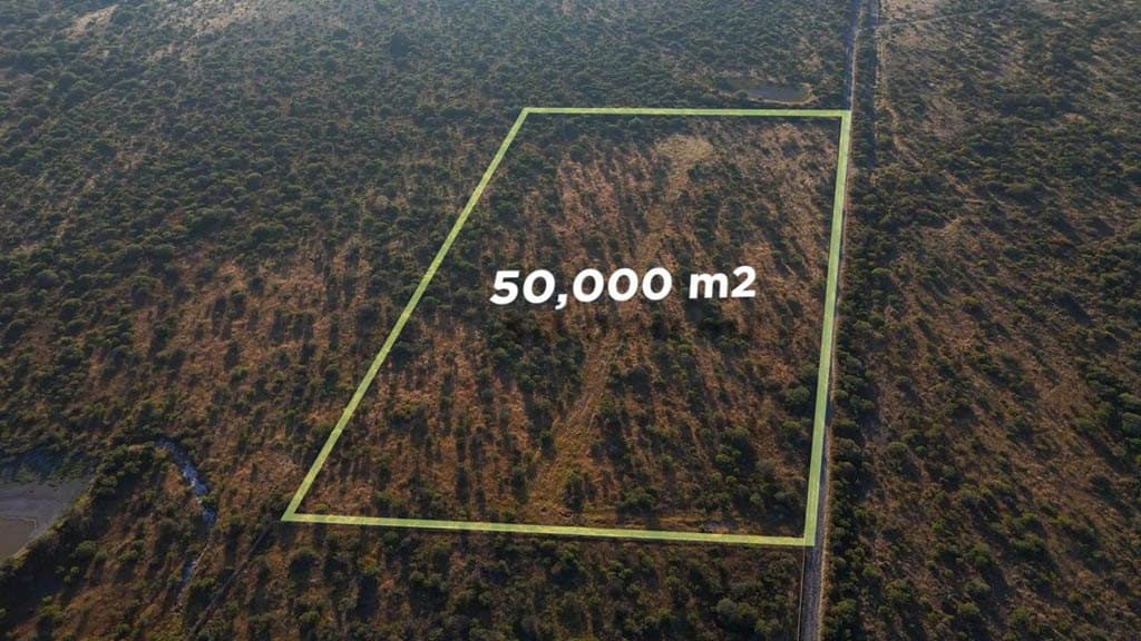 Terreno Los Rodriguez - Image 3