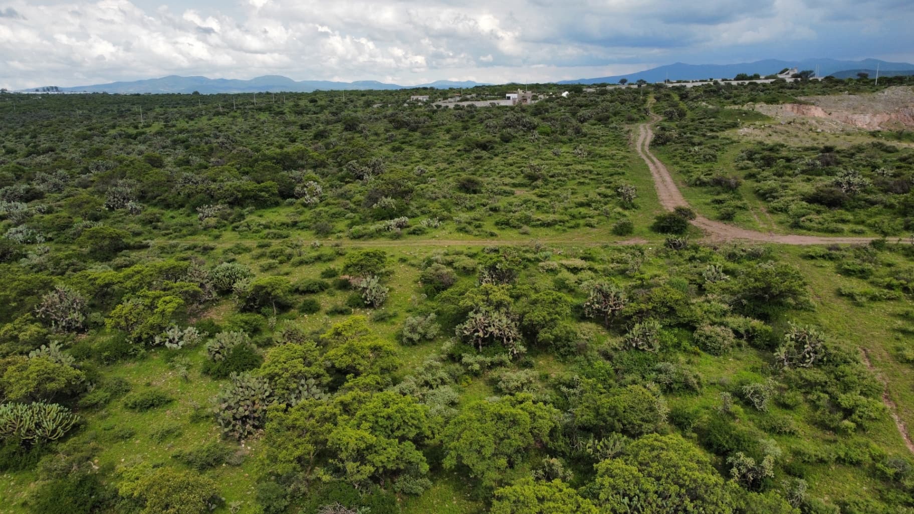 Terreno campestre para inversión - Image 5