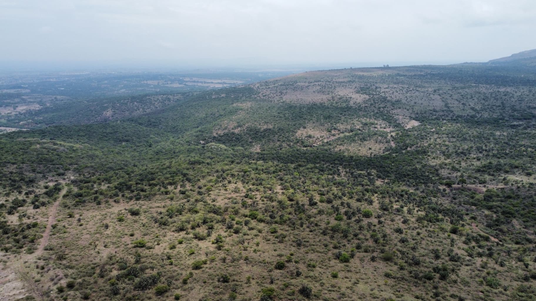 Lote campestre a 3 km del centro. - Image 5