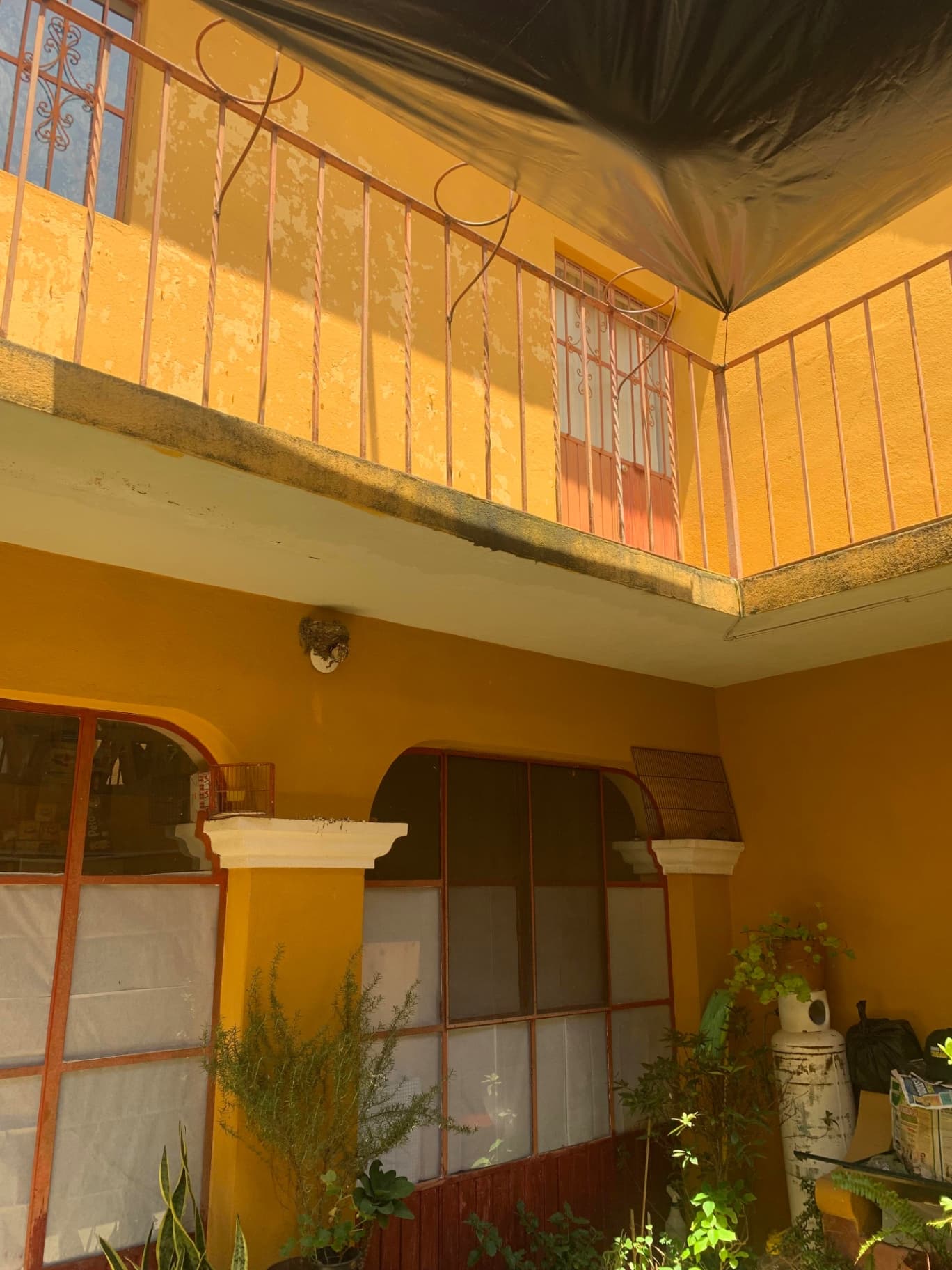 Casa Colonia San Rafael - Image 3